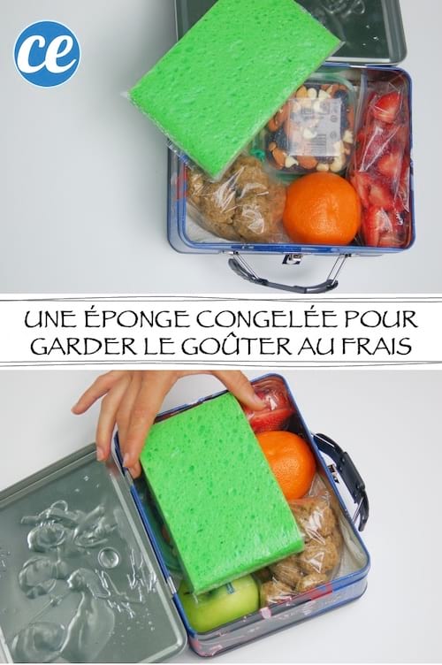 Une éponge congelée pour rafraîchir le goûter