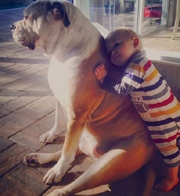 Petit bébé avec un gros chien