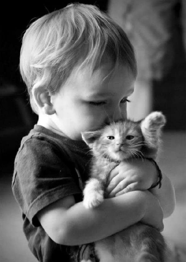 Petit bébé qui fait un bisou à un chat