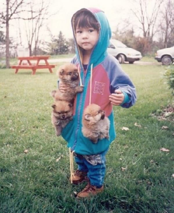 Petit enfant avec des petits chiens dans les mains