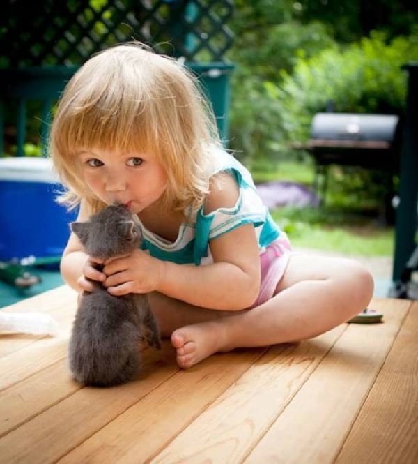 Petite fille qui fait un bisou à un chat 