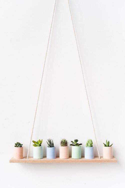 déco moderne avec des cactus