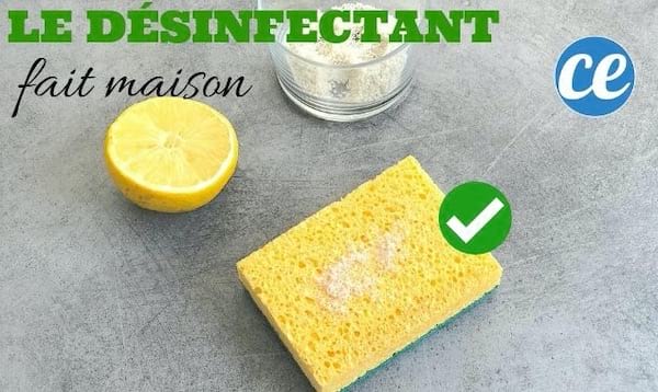 recette de désinfectant fait maison avec du citron et du sel