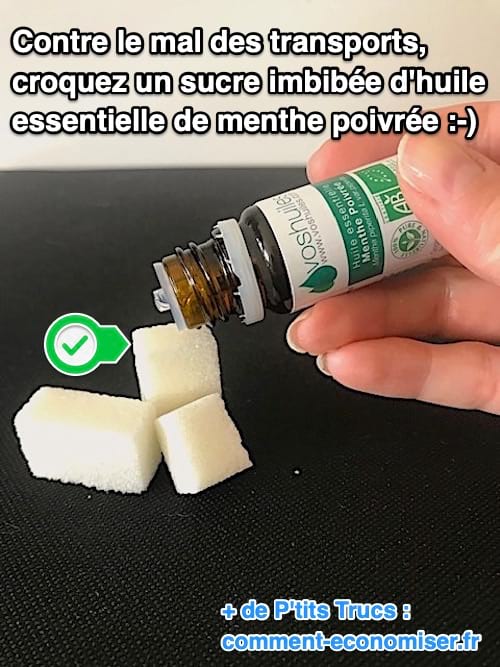 Contre le mal de transports, mangez un sucre avec 2 gouttes d'huiles essentielles de menthe poivrée