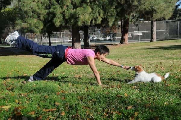 Allongez vous par terre si votre chien se détache