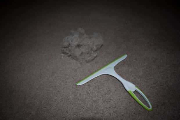 Raclette pour enlever poils de chien