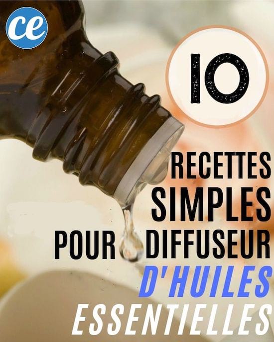 10 Mélanges simples Pour Diffuseur d'Huiles Essentielles Dont Vous Ne Pourrez Plus Vous Passer !