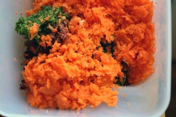 comment réutiliser la pulpe de fruits pressés