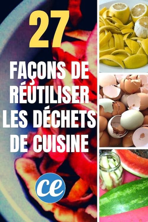 27 façons de réutiliser les déchets de la cuisine