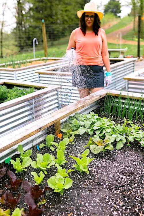 N'oubliez pas de prévoir un robinet à proximité avant d'installer votre potager surélevé.