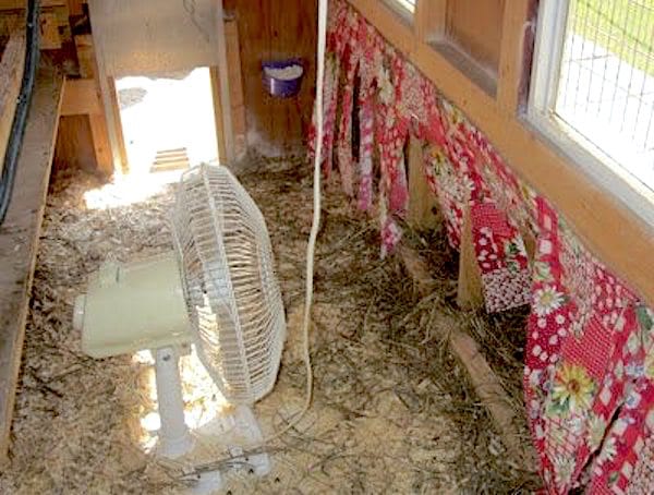 Installez un ventilateur pour que l'air circule bien dans le poulailler