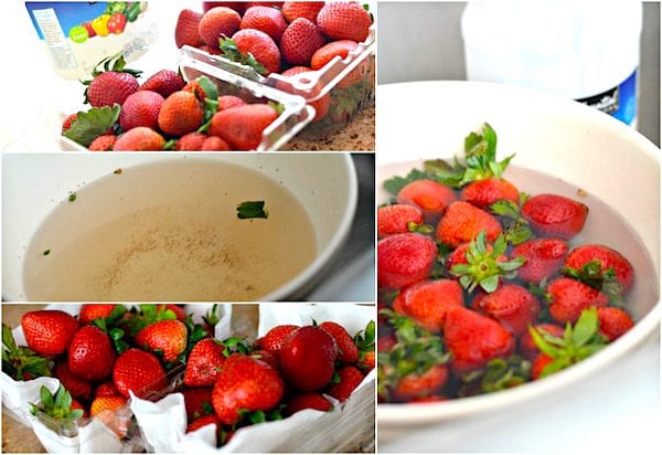Comment conserver les fraises plus longtemps ? Voici l'astuce de grand-mère infaillible !