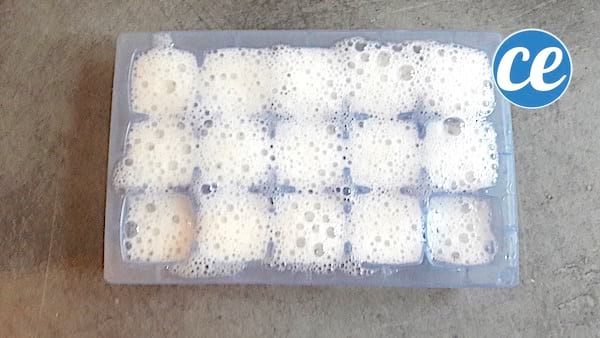 versez le gel d'aloe vera dans un bac à glaçons