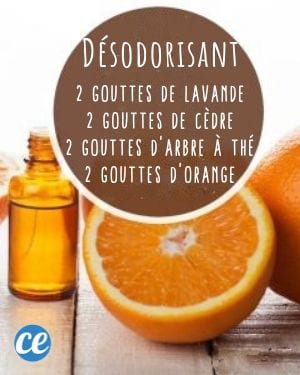 diffuser un mélange d'huiles essentielles pour désodoriser la maison