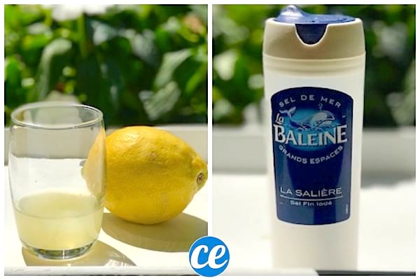 Ingr&eacute;dients pour la recette du gommage maison naturel pour le corps