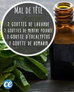 10 Recettes Pour Diffuseur D'Huiles Essentielles Dont Vous Ne Pourrez ...