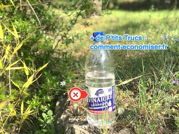 Les mauvaises utilisations du vinaigre blanc