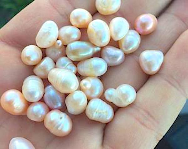 Ne jamais nettoyer les perles de culture avec du vinaigre blanc