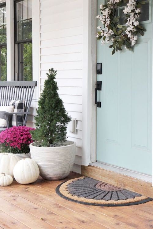 Paillasson et pot de fleurs