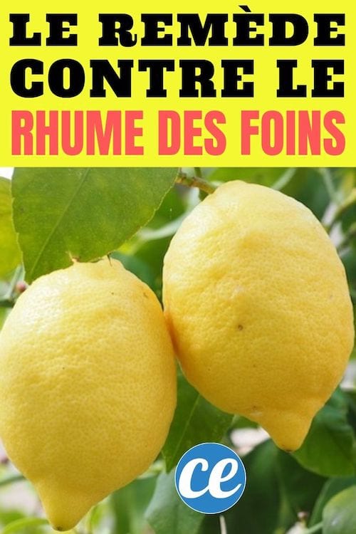 Le remède simple et efficace contre le rhume des foins