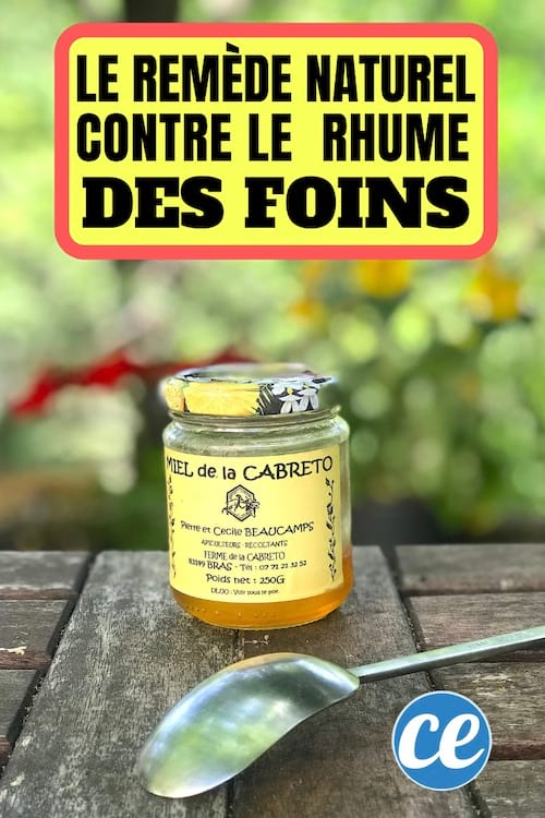 Le remède naturel pour soigner le rhume des fois avec du miel