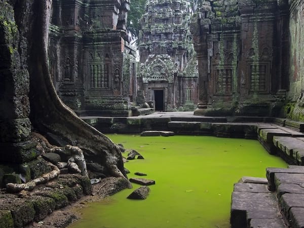 Les ruines des temples d'Angkor au Cambodge