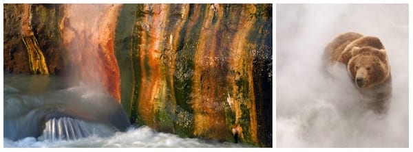 majestueuse Vallée des Geysers sur le Kamtchatka avec un ours