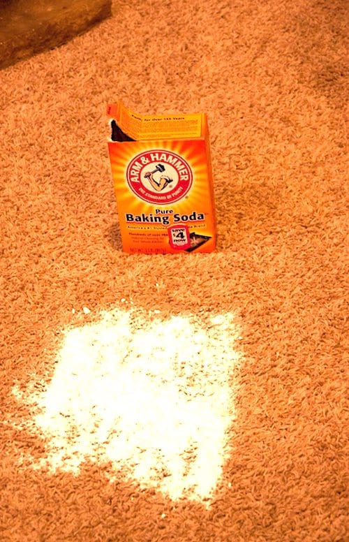 L'astuce facile pour nettoyer une tache de gras sur la moquette : le bicarbonate !