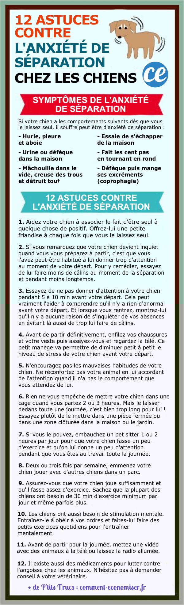 12 Astuces Efficaces Contre l'Anxiété De Séparation Chez Les CHIENS.