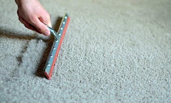 L'astuce facile pour enlever les poils d’animaux de votre moquette, tapis ou canapé : une simple raclette !