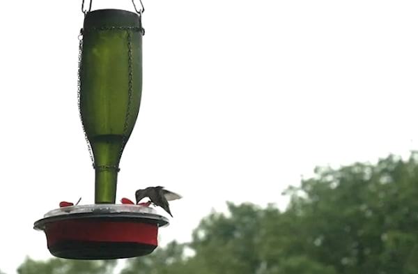 comment recycler une bouteille en verre en abreuvoir à oiseaux