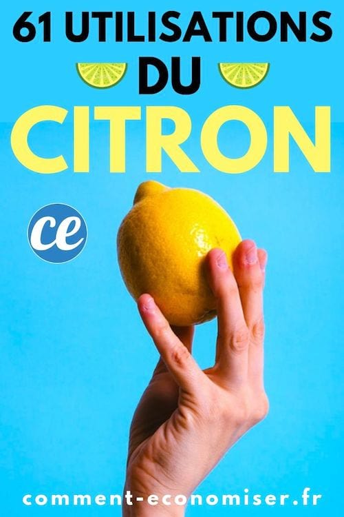 61 Utilisations Et Bienfaits Du Citron Pour le Quotidien et la Santé