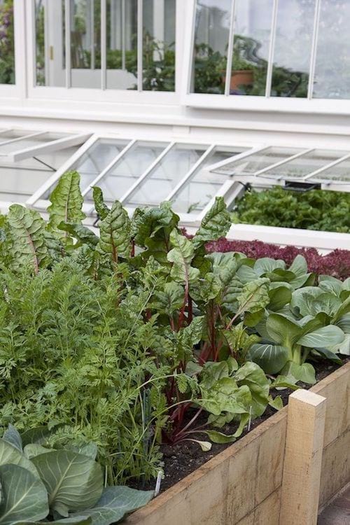 Des bordures en bois pour délimiter les plantes 