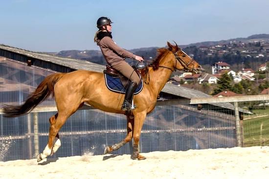 se mettre en arrière quand un cheval s'emballe au galop