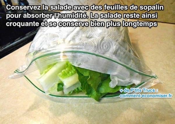 astuce pour conserver la salade au frigo plus longtemps 