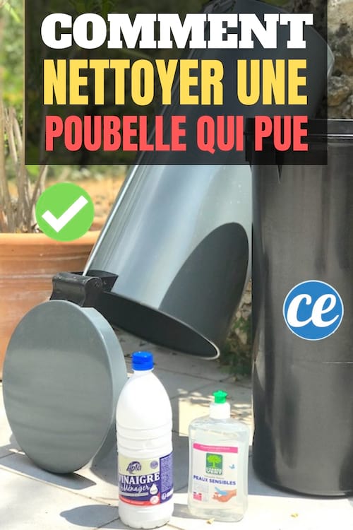 https://static.comment-economiser.fr/documents/images/2019/07/comment-nettoyer-poubelle-qui-pue.jpg