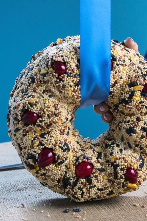 La nourriture des oiseaux rassemblées en couronne  