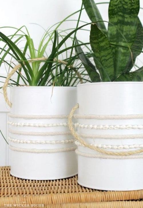 Deux pots décoratifs avec des plantes à l