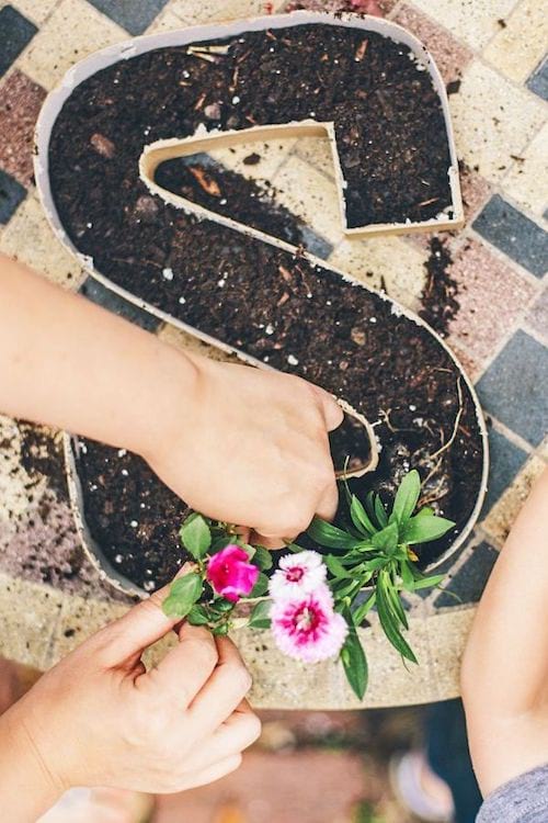 La lettre "S" creusé en carton avec de la terre à l'intérieur transformé en jardinière