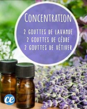 mélange huiles essentielles pour booster la concentration