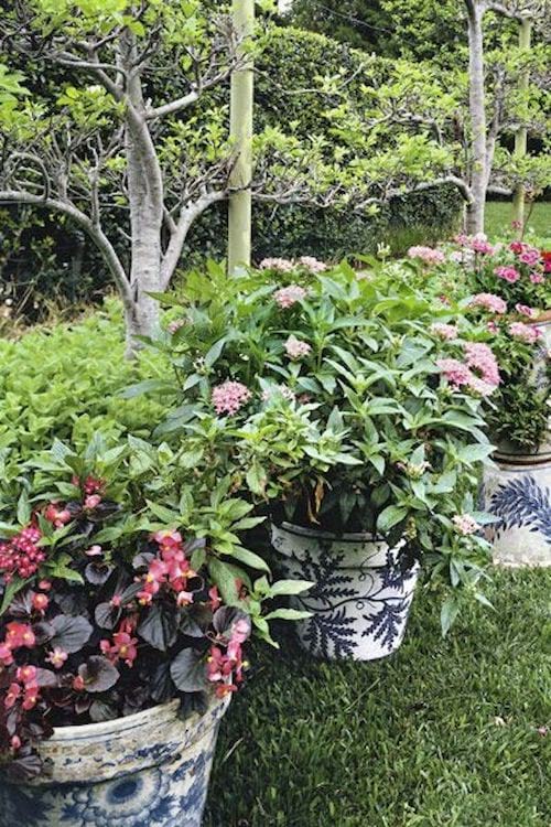 Des pots de fleurs contenant des graphiques