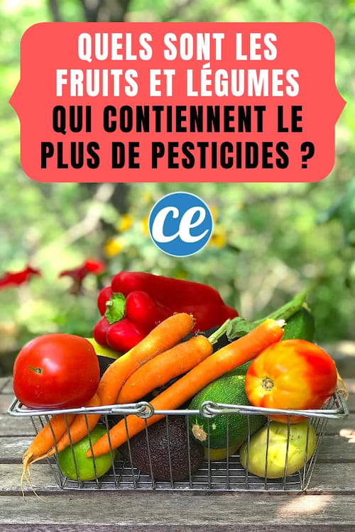 Quels Sont Les Fruits Et Légumes Qui Contiennent Le Plus De Pesticides