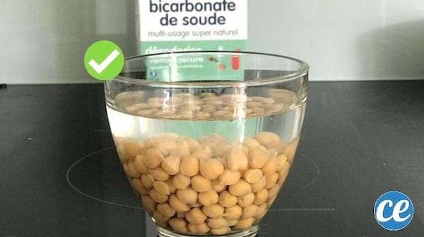 pois chiche qui trempe dans l'eau