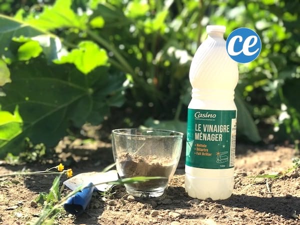 tester la terre calcaire avec du vinaigre blanc