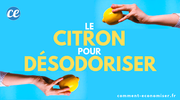 Voici les meilleures utilisations du citron pour désodoriser et rafraîchir la maison !