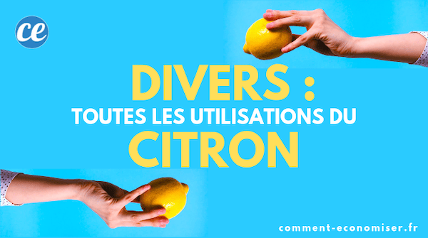 Découvrez toutes les utilisations diverses du citron.