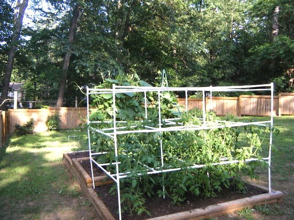 tuteur cage pour tomates tuyau PVC