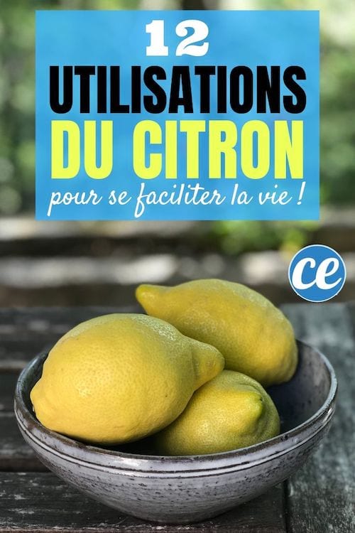 12 utilisations du citron pour le ménage et la beauté