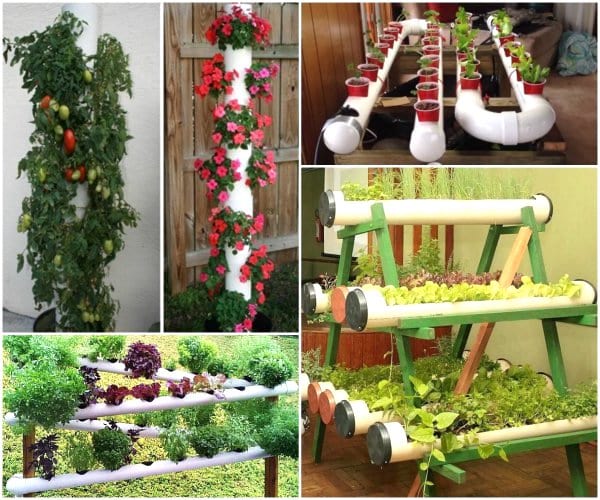 jardin potager surélevé tuyau PVC