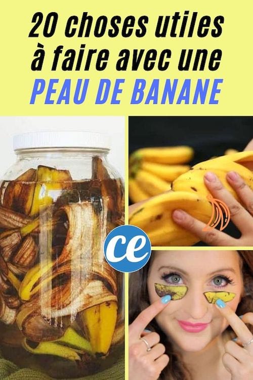 Que faire avec une peau de banane ? 20 choses utiles que tout le monde devrait connaître